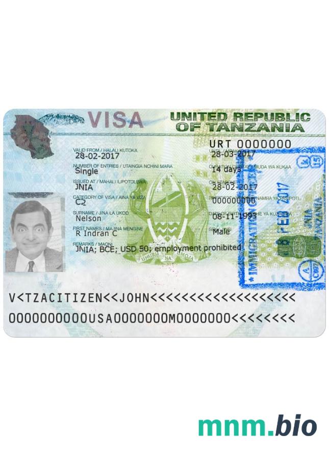 Tanzania travel visa version 2